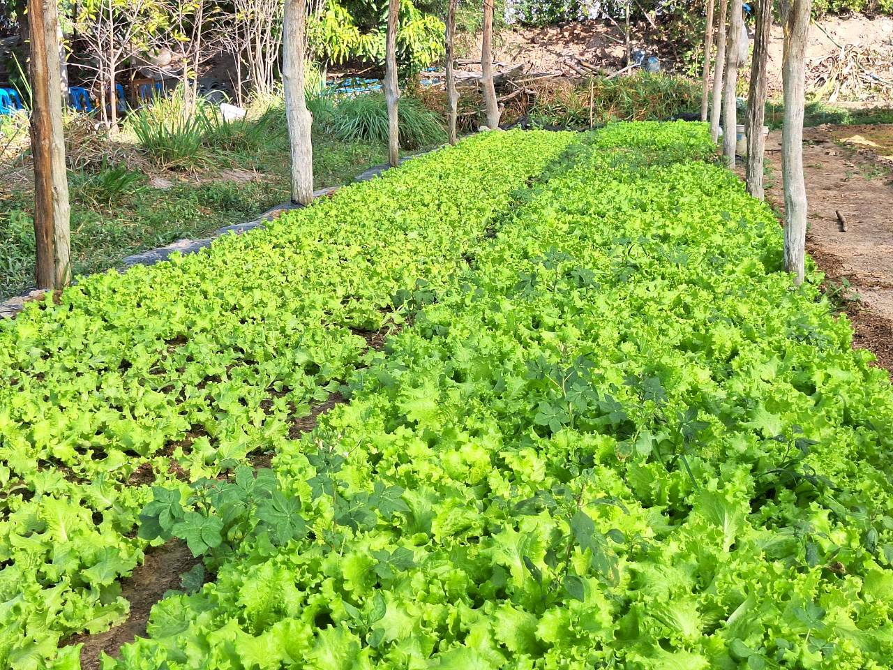 title - ผู้ตรวจราชการ ส.ป.ก. ประชุมตรวจราชการและติดตามความก้าวหน้าผลการดำเนินงานตามแผนการตรวจราชการของผู้ตรวจราชการสำนักงานการปฏิรูปที่ดินเพื่อเกษตรกรรม ประจำปีงบประมาณ พ.ศ. 2569 รอบที่ 1 เขตตรวจราชการที่ 11 จังหวัดนครพนม